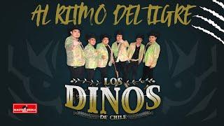 Al Ritmo del  Tigre   -  Los Dinos de Chile