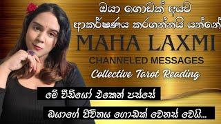 වාසනාවන්ත කාලයක් ️ පස්සෙන් එන කට්ටිය ගැන පොඩ්ඩක් බලන්න Collective Tarot Reading Sinhala