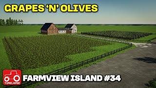 GRAPES 'N' OLIVES!! Farmview Island FS22 Timelapse Farming Simulator 22 Ep 34