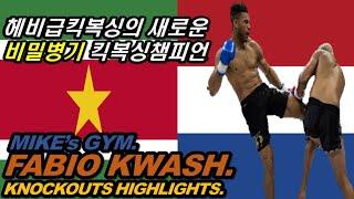 Fabio Kwasi Knockout Highlights【+100kg】