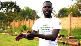 Young Agripreneur James Openyth: You can make money along the agricultural value chain