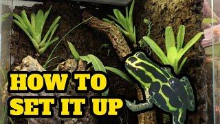 How to SET UP a DART FROG VIVARIUM