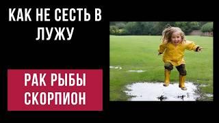 Знаки ВОДЫ. Как не сесть в лужу — если ты РЫБЫ, РАК, СКОРПИОН