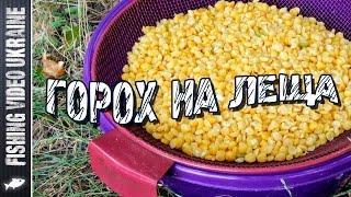 Правильный горох для крупного леща и другой мирной рыбы | 1080p | FishingVideoUkraine