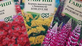 Докупила цветы и последние в этом году томаты. Шуршу пакетиками. Открыла тепличный сезон!