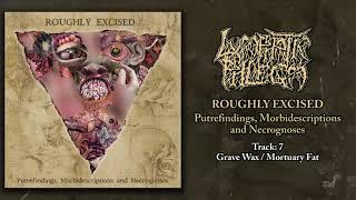 Lymphatic Phlegm - Roughly Excised - Putrefindings, Morbidescriptions... FULL ALBUM (2021-Goregrind)