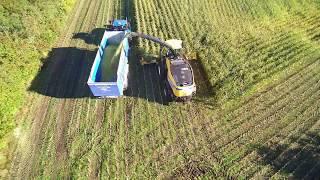 Snitter til majs, FR Forage Cruiser fra New Holland - køb den hos Anker Bjerre A/S .