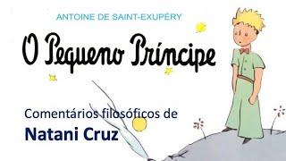 THE LITTLE PRINCE: Some Philosophical Reflections - Natani Cruz, New Acropolis - (Spoiler Alert!)