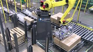 Robotic Case Palletizer - IQF Potatoes - BW Integrated Systems