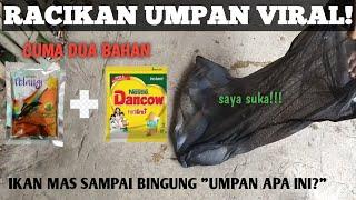 Mancing Harian Ikan Mas! Umpan Pelangi Amis Gurih | Pemancingan Perintis