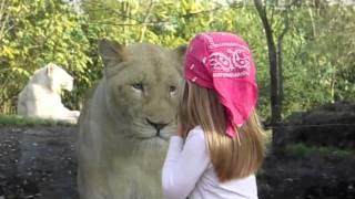 little girl facing the lion