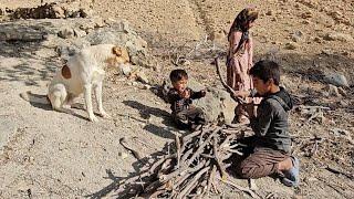 Collecting firewood by Reza Fatemeh Abbas in the mountains for the winter season