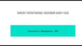 Dog's Breeder expert. Дерматологія для заводчиків собак. Анастасія Шпигунова. 15.03.21