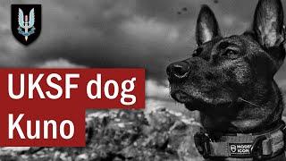 The Actions of UK Special Forces dog: Kuno | April 2019