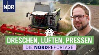 Strohprofis im Erntestress | Die Nordreportage | NDR