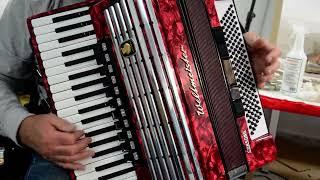 German Made Top Accordion Weltmeister Consona - 120 bass, 16 reg.+Original Hard Case&Straps~CASSOTTO