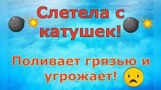 Деревенский дневник очень многодетной мамы Слетела с катушек Поливает грязью и угрожает Обзор влогов