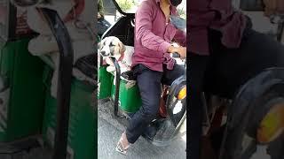 #Pet With  E Rickshaw Driver