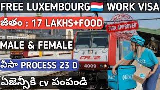 LUXEMBOURG WORK VISA 2025 ONLINE APPLY | JOBS IN LUXEMBOURG TELUGU | FREE WORK VISA LUXEMBOURG