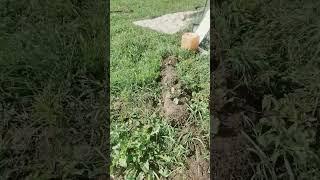 наши обновки