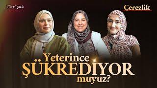 Yeterince şükrediyor muyuz? I Çerezlik I Fikriyat