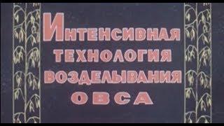 Технология возделывания овса