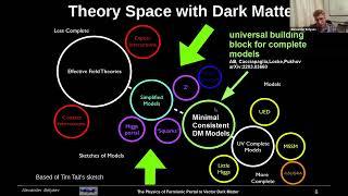 The  Physics of Fermionic Portal to Vector Dark Matter (Pr. Alexander Belyaev)