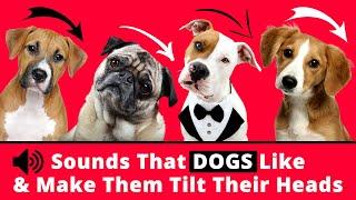 Sounds That DOGS Like & Make Them Tilt Their Heads ️
