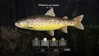 Русская Рыбалка 4 / Река Белая. ФОРЕЛЬ РУЧЬЕВАЯ. Russian Fishing 4