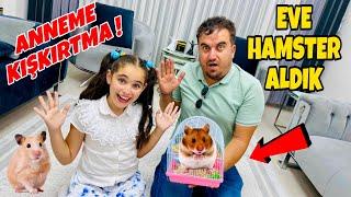 ELİF SİNEM EVE FARE ALDI !! ANNEME KIŞKIRTMA !! HAMSTER İLE BÜCÜR NAPTI ??