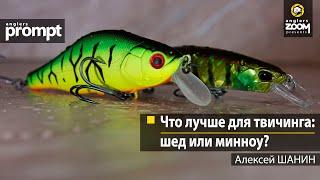 Что лучше для твичинга: шед или минноу? Алексей Шанин. Anglers Prompt