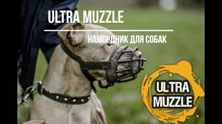 Уникальный намордник для собак Ultra Muzzle