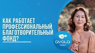 КАК РАБОТАЕТ ПРОФЕССИОНАЛЬНЫЙ БЛАГОТВОРИТЕЛЬНЫЙ ФОНД?