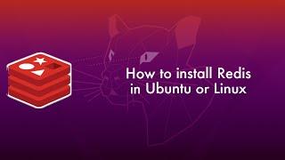 How to install Redis in ubuntu (ubuntu20.04)