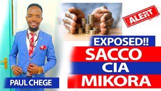 SACCO CIA MIKORA KWANÍKWO // PAUL CHEGE