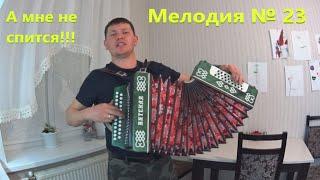 А мне не спиться!!!  С гармошкой веселее!!! Леха-Движуха!!!