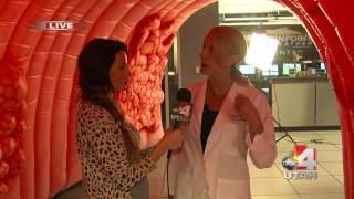 Utah Gastroenterology - Dr. Holly Clark on Colon Cancer