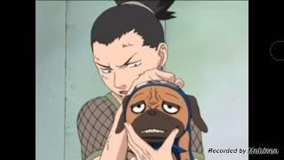 Shikamaru and pakkun english dub