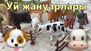 УЙ ЖАНУАРЛАР мен ҚҰСТАР турлерімен танысу!PETS on Kazakh language!!Домашние животные на КАЗАХСКОМ!