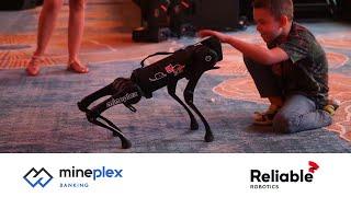 Mineplex Banking | Robotic Dog | Reliable Robotics | Robot Rental