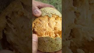 fruits  bel fruit  sweet sweet || Natural #nature #VDS@style-i2z #viralshorts