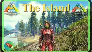 Anky, Hesperonis, Oviraptor - ARK Survival Evolved - SOLO - The Island 2024 (EP11)