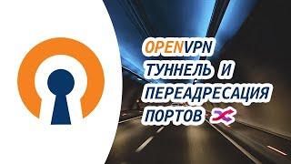  OpenVPN Тунель с переадресацией портов 