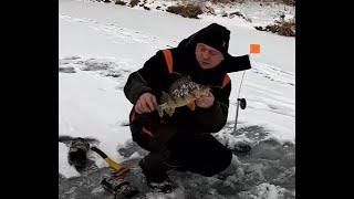 Килограммовые окуни не только в Якутии. Рыбалка на реке Ляля на аэролодке Хариус 440