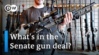 US Senate gun control deal: What's in it and how far does it go? | DW News
