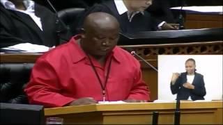 Julius Malema shakes up Parliament