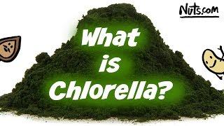 Health Benefits of Chlorella - Easy to Use Superfood