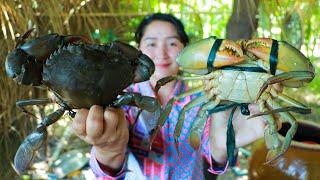 Mud Crab Yummy Porridge Cooking - Cooking With Sros