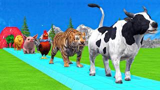 Paint & Animals Cow,Gorilla,Elephant,Lion,Tiger,Dinosaur, Fountain Crossing Transformation Cartoon