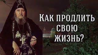 Как продлить свою жизнь? Правила сохранения здоровья от старца Саввы Псково-Печерского